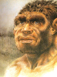 Homo heidelbergensis