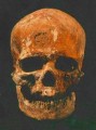 Homo sapiens (Cro-Magnon) skull